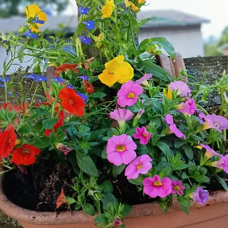 Appartamento Hof Postel