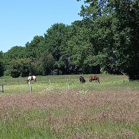 Appartamento Hof Postel *